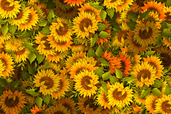 Download Sunflower Pattern High Quality - Premium Resources